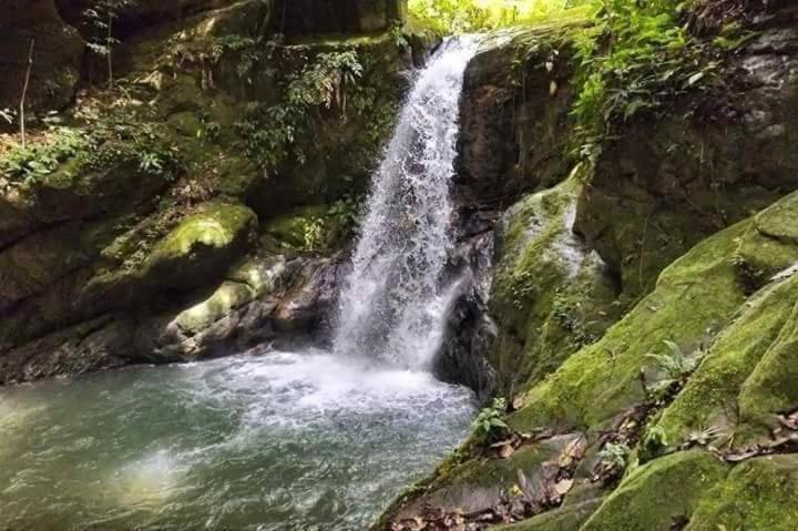 Hotel Posada Campestre San Juan Monterrey Екстер'єр фото